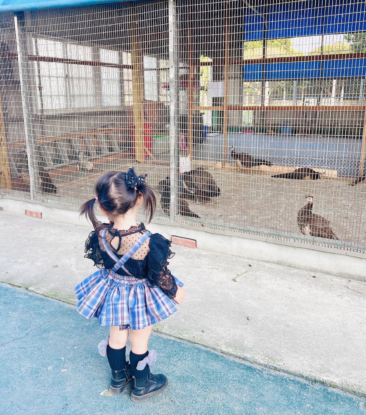 20251114-f85w7 20251114-f85w7