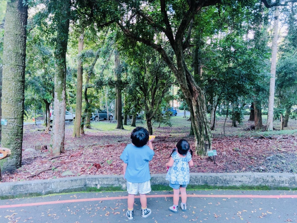 20251114-dl573 20251114-dl573