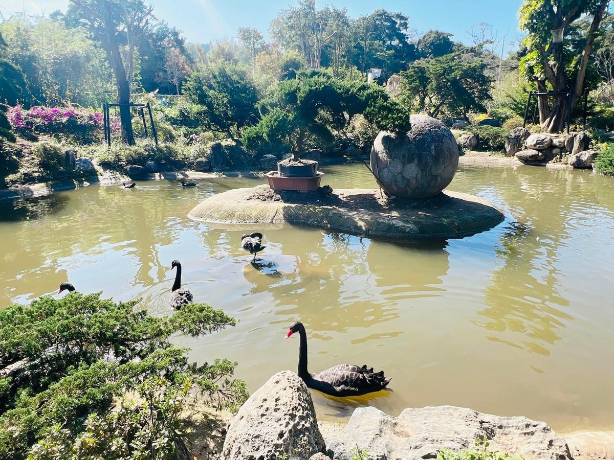 20251114-jdaxm 20251114-jdaxm