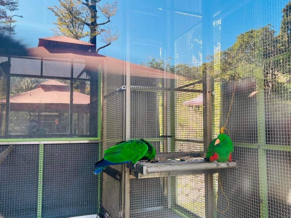 20251114-w0gwe 20251114-w0gwe