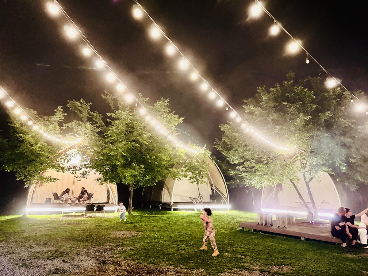 20251114-6j20f 20251114-6j20f