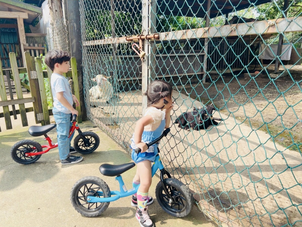 20251114-bt115 20251114-bt115