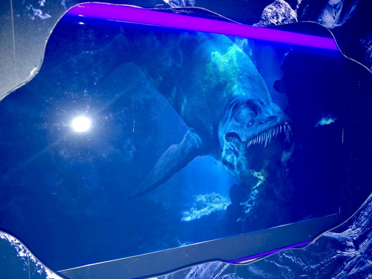 20251114-ounla 20251114-ounla