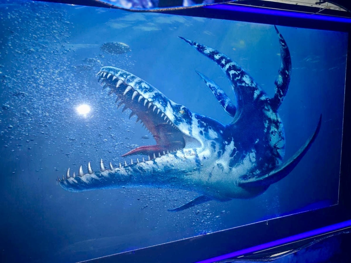 20251114-pbtnq 20251114-pbtnq