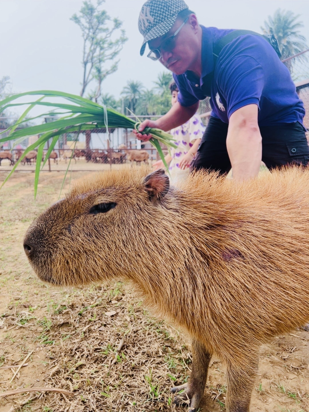 20251114-0wu76 20251114-0wu76