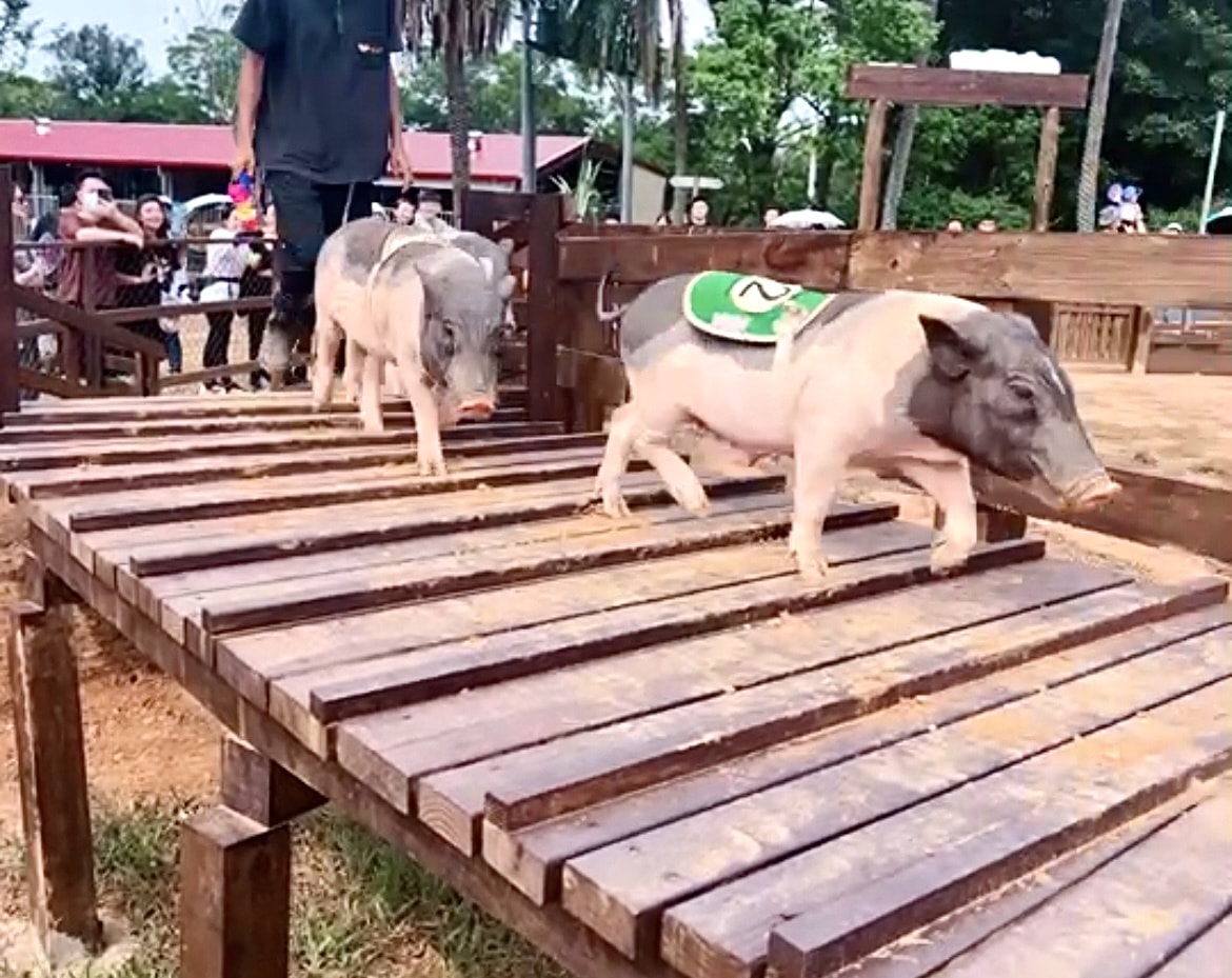 20251114-1nr6l 20251114-1nr6l