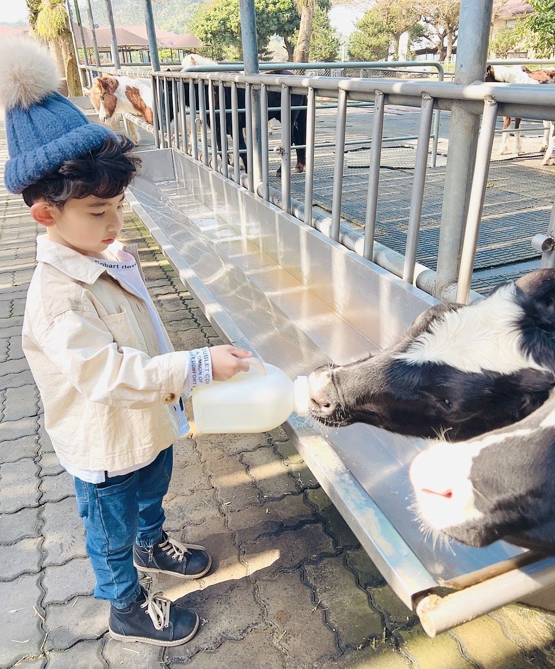 20251114-5jq5g 20251114-5jq5g