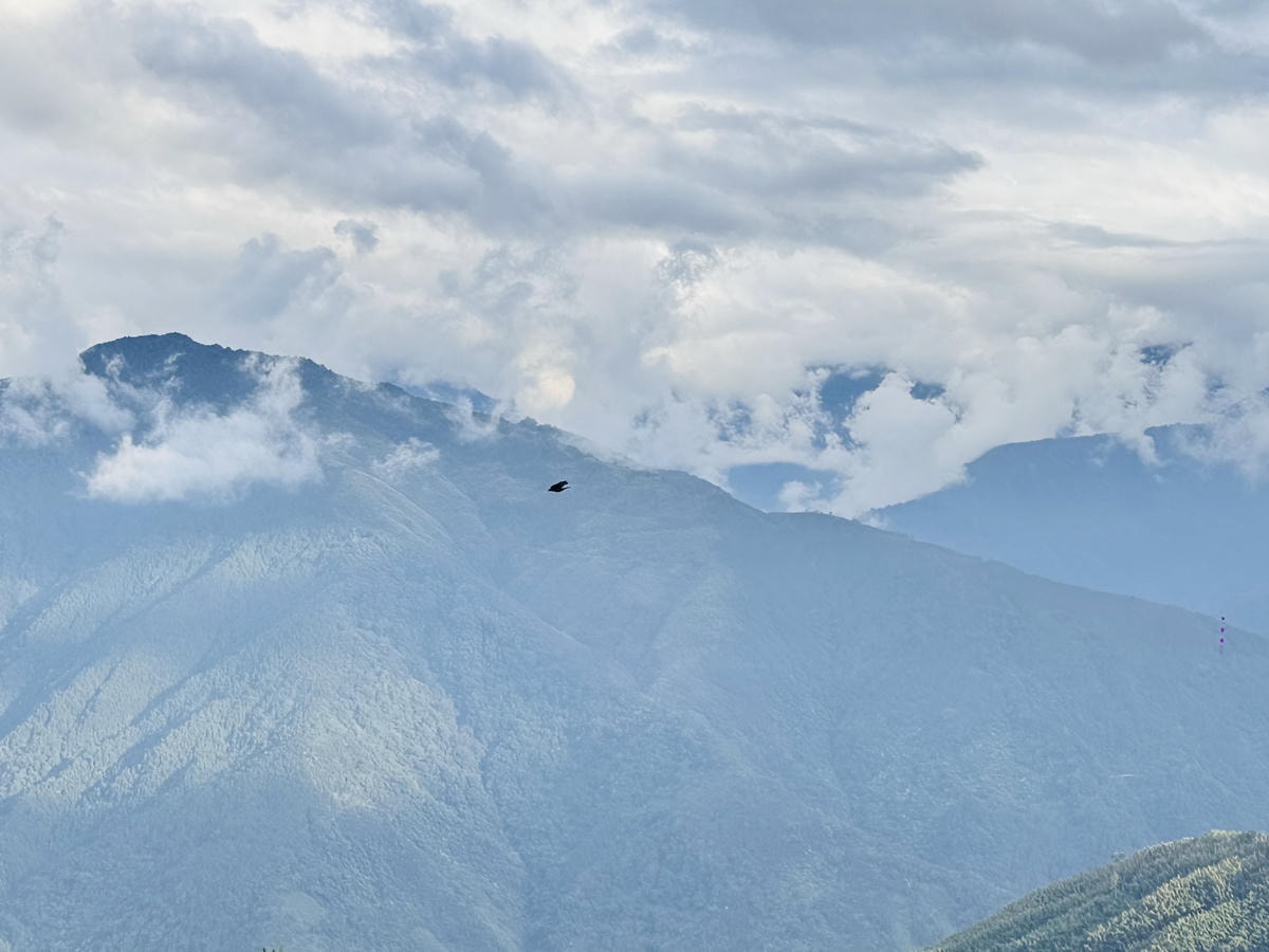 20251114-b83es 20251114-b83es