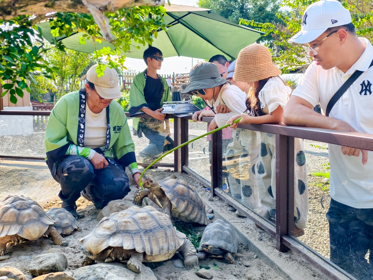 ★南投親子景點推薦★鹿芝谷景觀生態園區,動物互動、生態導覽、多肉DIY、甲蟲館一次滿足,南投親子遊一日行程推薦! - 第19張圖 ★南投親子景點推薦★鹿芝谷景觀生態園區,動物互動、生態導覽、多肉DIY、甲蟲館一次滿足,南投親子遊一日行程推薦!