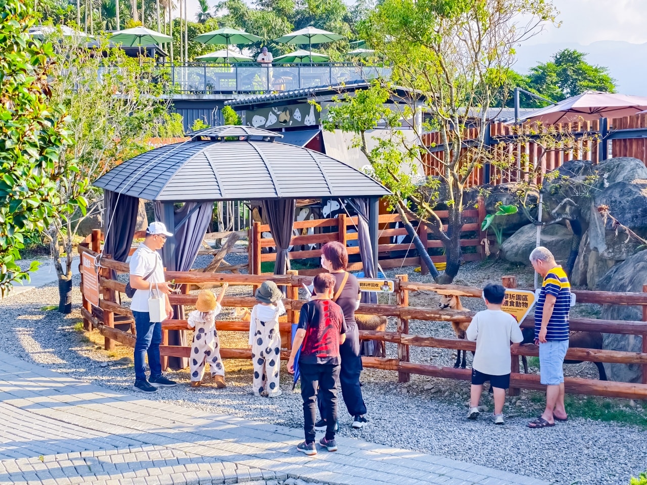 ★南投親子景點推薦★鹿芝谷景觀生態園區，動物互動、生態導覽、多肉DIY、甲蟲館一次滿足，南投親子遊一日行程推薦！