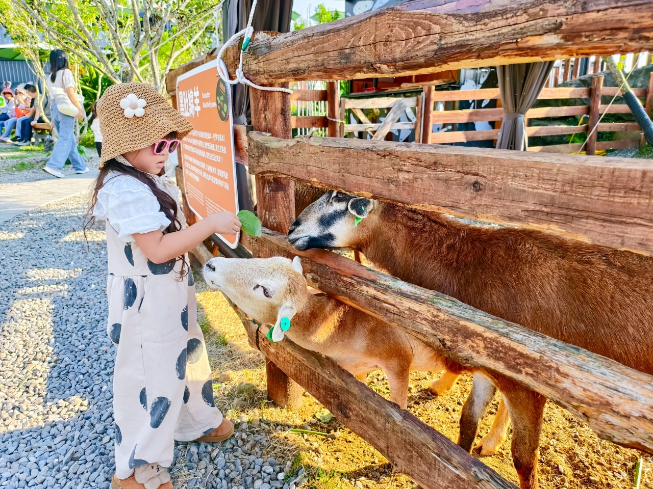★南投親子景點推薦★鹿芝谷景觀生態園區，動物互動、生態導覽、多肉DIY、甲蟲館一次滿足，南投親子遊一日行程推薦！