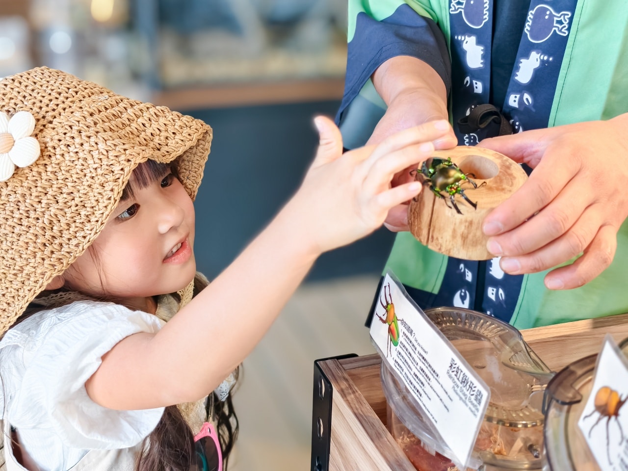 ★南投親子景點推薦★鹿芝谷景觀生態園區,動物互動、生態導覽、多肉DIY、甲蟲館一次滿足,南投親子遊一日行程推薦! - 第39張圖 ★南投親子景點推薦★鹿芝谷景觀生態園區,動物互動、生態導覽、多肉DIY、甲蟲館一次滿足,南投親子遊一日行程推薦!
