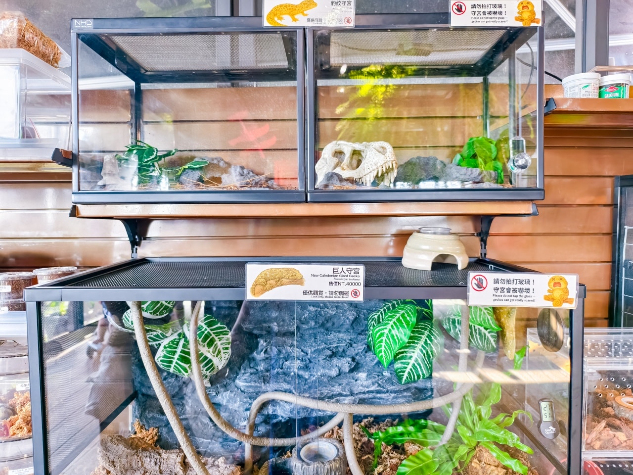 ★南投親子景點推薦★鹿芝谷景觀生態園區，動物互動、生態導覽、多肉DIY、甲蟲館一次滿足，南投親子遊一日行程推薦！