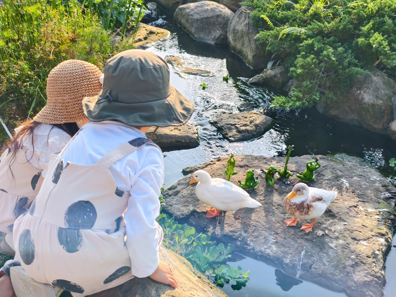 ★南投親子景點推薦★鹿芝谷景觀生態園區，動物互動、生態導覽、多肉DIY、甲蟲館一次滿足，南投親子遊一日行程推薦！