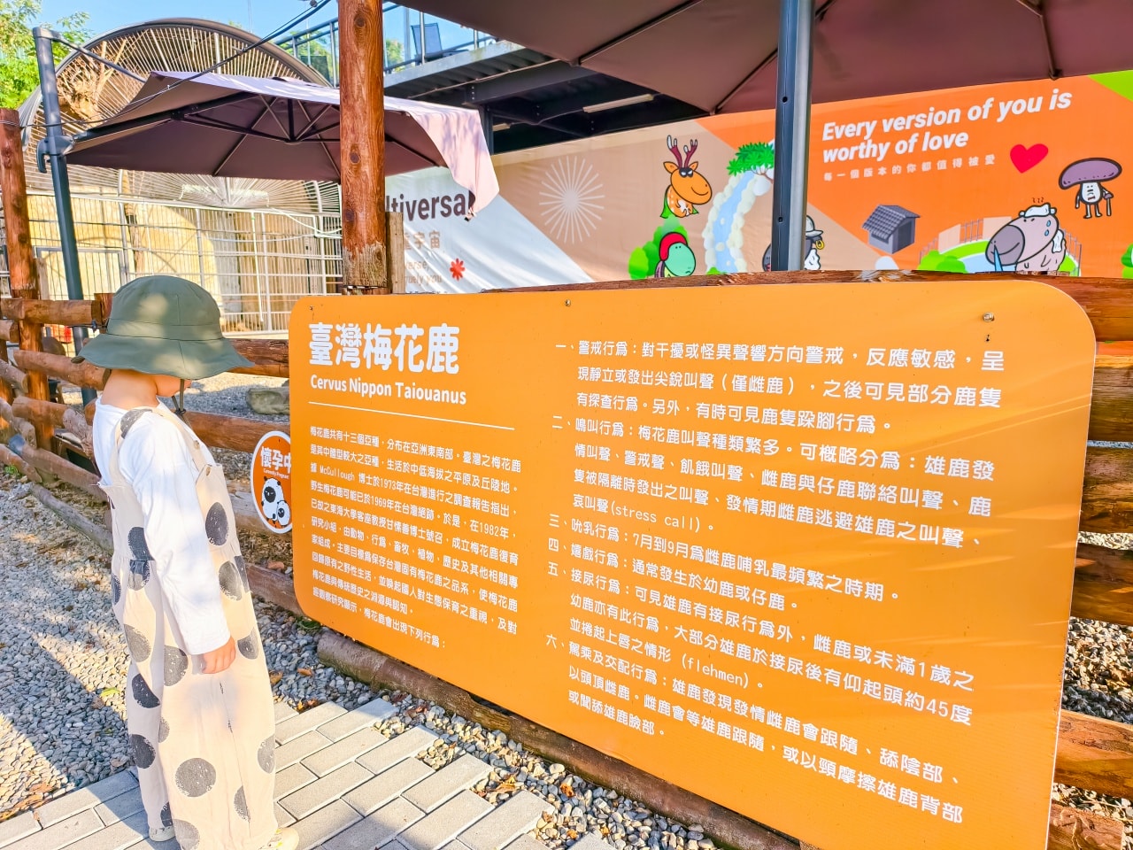 ★南投親子景點推薦★鹿芝谷景觀生態園區，動物互動、生態導覽、多肉DIY、甲蟲館一次滿足，南投親子遊一日行程推薦！
