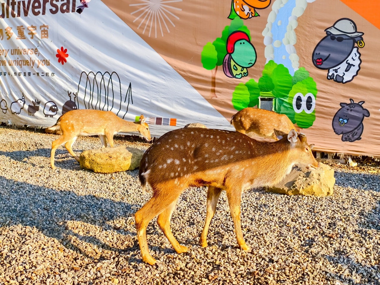 ★南投親子景點推薦★鹿芝谷景觀生態園區，動物互動、生態導覽、多肉DIY、甲蟲館一次滿足，南投親子遊一日行程推薦！