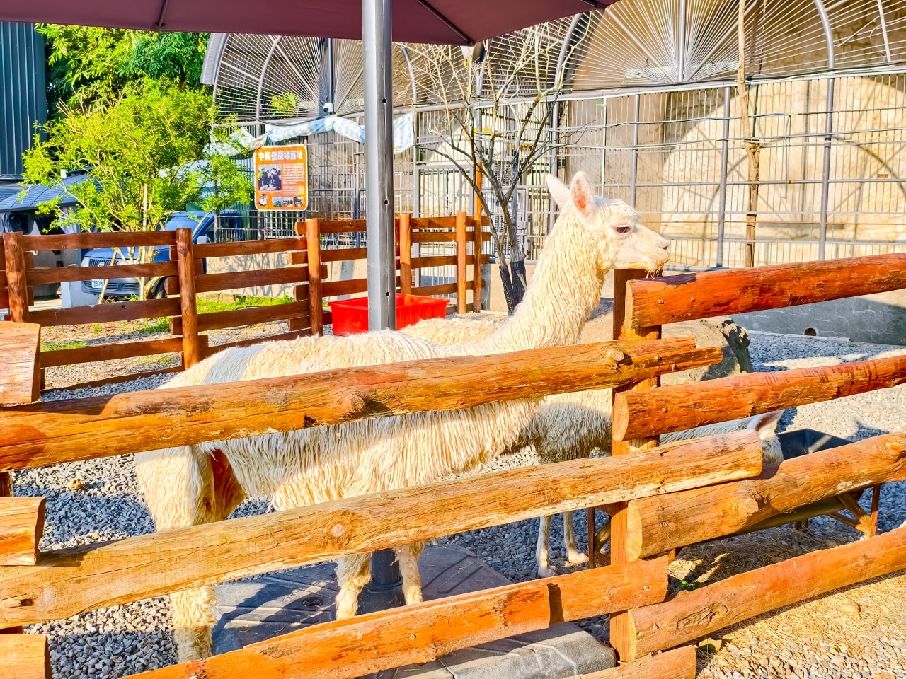 ★南投親子景點推薦★鹿芝谷景觀生態園區，動物互動、生態導覽、多肉DIY、甲蟲館一次滿足，南投親子遊一日行程推薦！