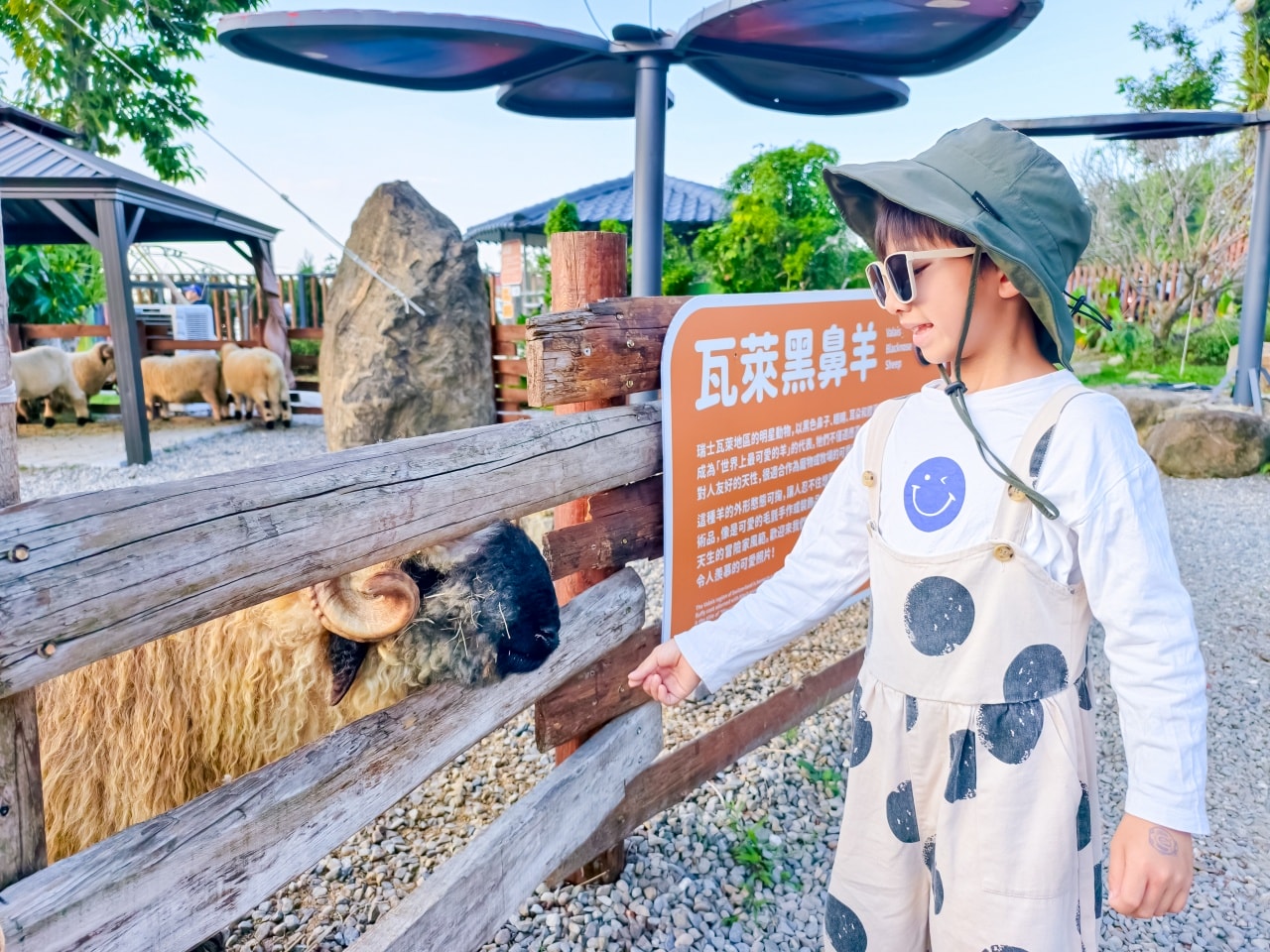 ★南投親子景點推薦★鹿芝谷景觀生態園區,動物互動、生態導覽、多肉DIY、甲蟲館一次滿足,南投親子遊一日行程推薦! - 第30張圖 ★南投親子景點推薦★鹿芝谷景觀生態園區,動物互動、生態導覽、多肉DIY、甲蟲館一次滿足,南投親子遊一日行程推薦!