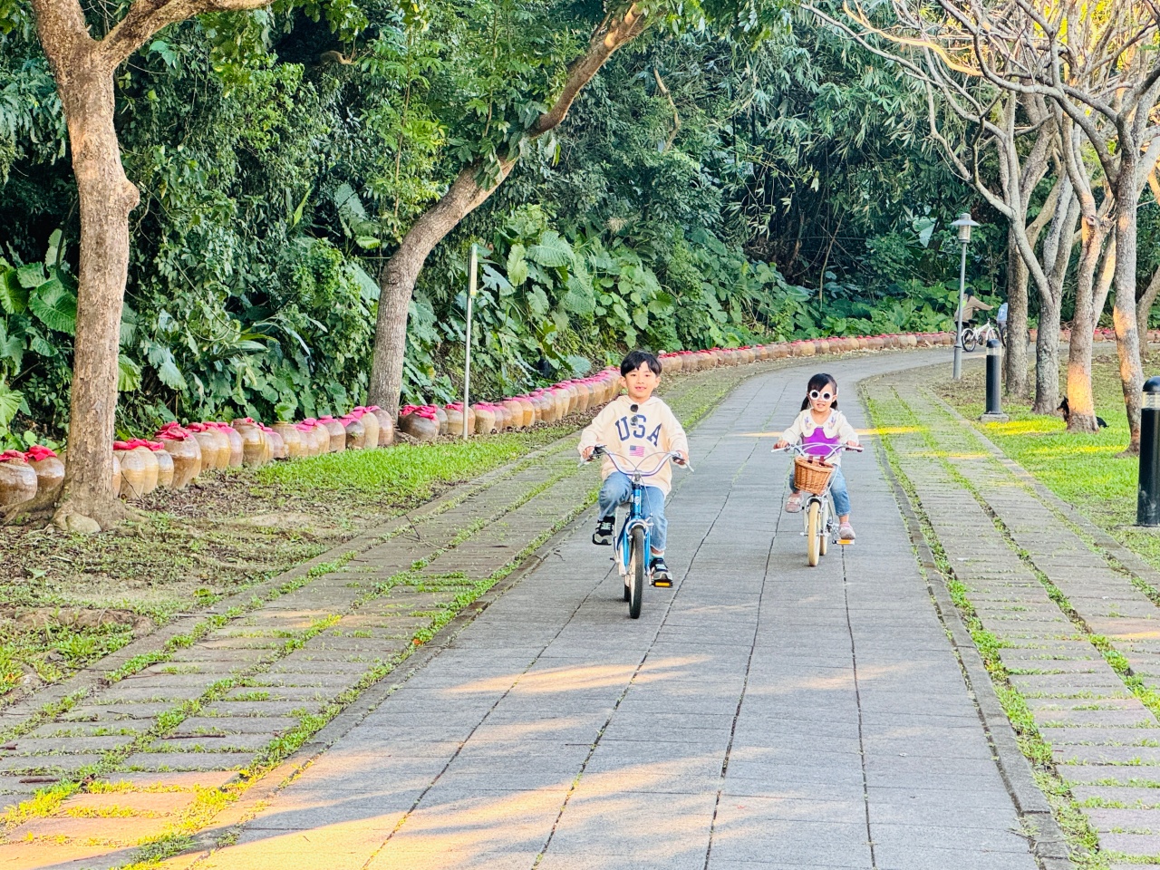 ★桃園親子景點★大溪河濱公園，賞落羽松兼放電，海盜船遊戲場、單車越野場、鄰近大溪老街，桃園大溪一日遊這樣玩！