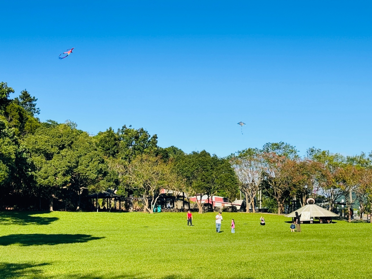 ★桃園親子景點★大溪河濱公園，賞落羽松兼放電，海盜船遊戲場、單車越野場、鄰近大溪老街，桃園大溪一日遊這樣玩！