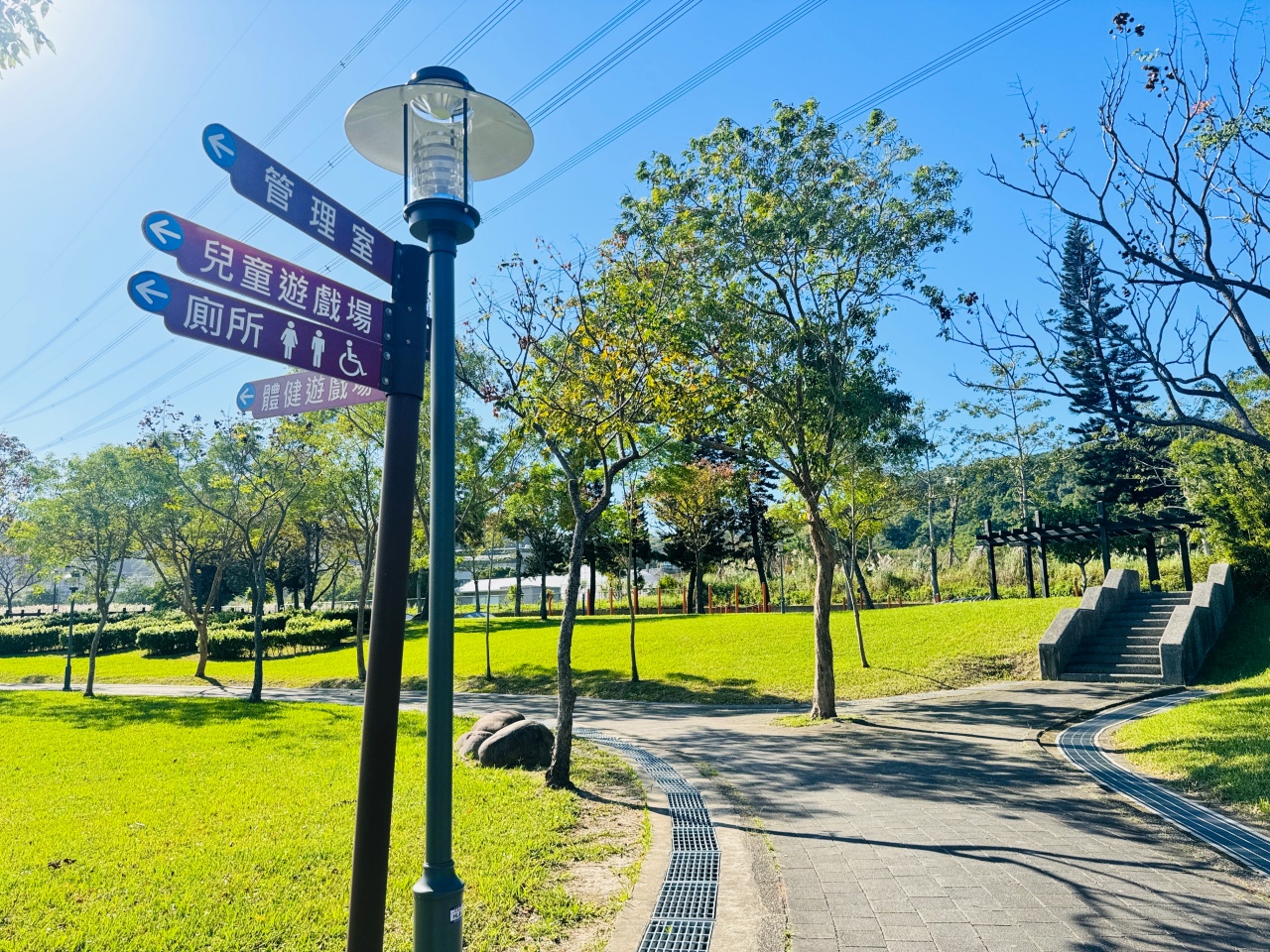 ★桃園親子景點★大溪河濱公園，賞落羽松兼放電，海盜船遊戲場、單車越野場、鄰近大溪老街，桃園大溪一日遊這樣玩！