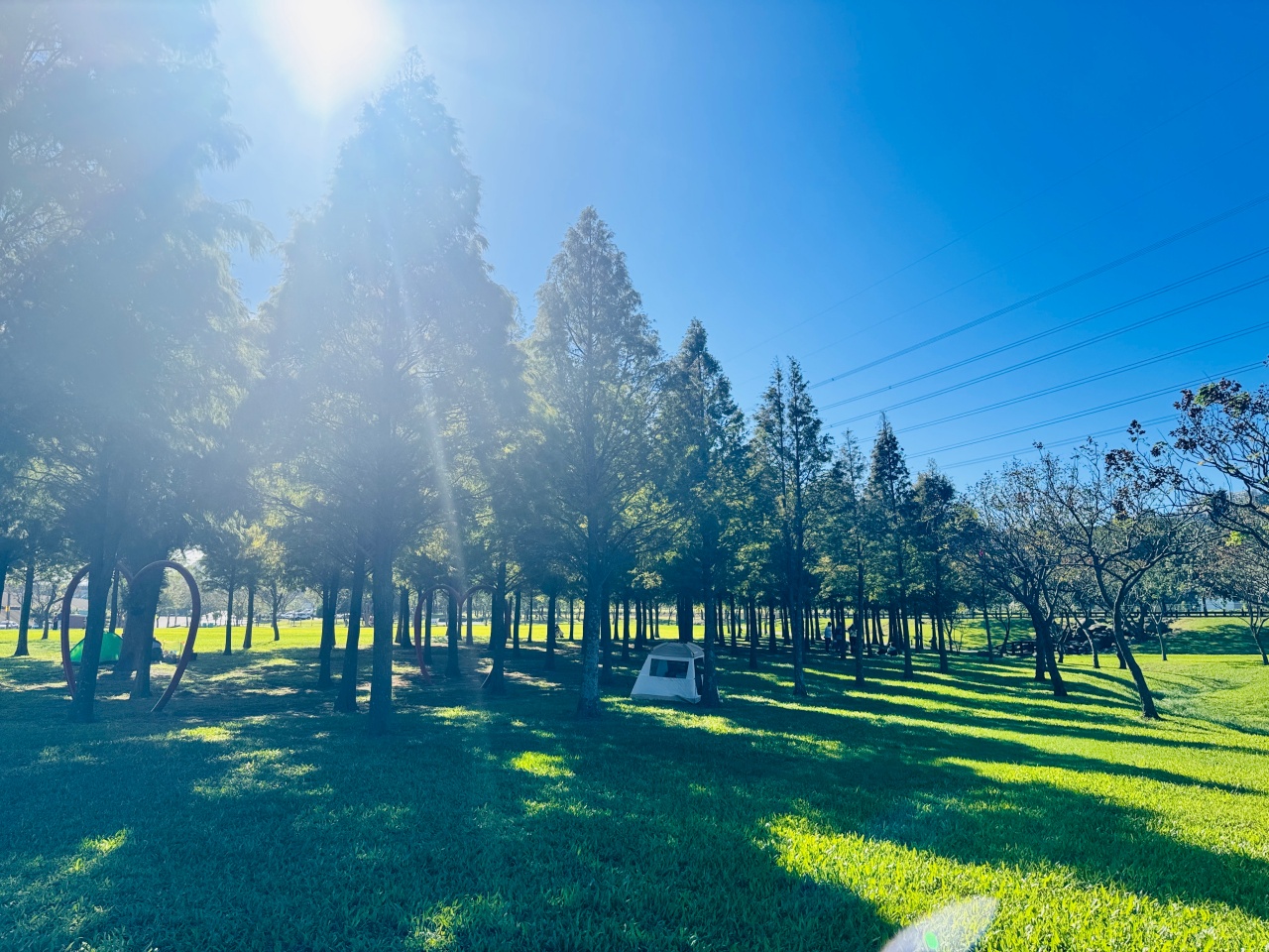 ★桃園親子景點★大溪河濱公園，賞落羽松兼放電，海盜船遊戲場、單車越野場、鄰近大溪老街，桃園大溪一日遊這樣玩！