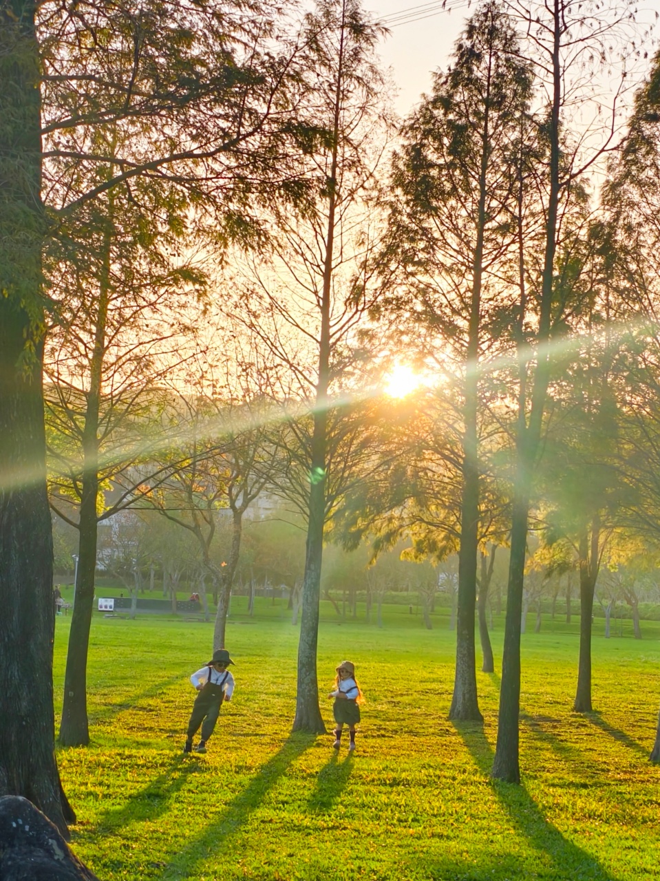 ★桃園親子景點★大溪河濱公園，賞落羽松兼放電，海盜船遊戲場、單車越野場、鄰近大溪老街，桃園大溪一日遊這樣玩！