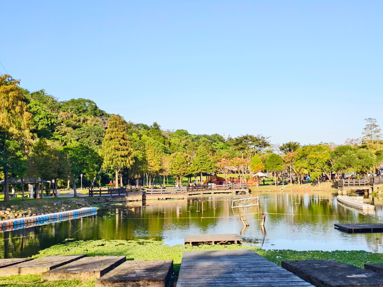 ★桃園親子景點★大溪河濱公園，賞落羽松兼放電，海盜船遊戲場、單車越野場、鄰近大溪老街，桃園大溪一日遊這樣玩！