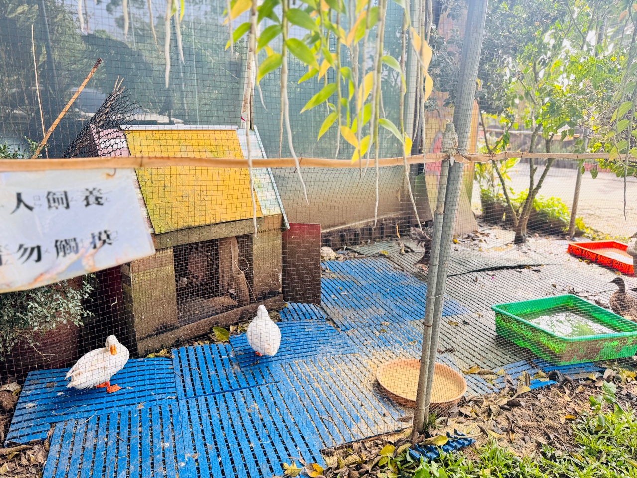 ★南投親子景點推薦★集元果觀光工廠,南投免費景點推薦!集集山蕉王國、球池沙坑、互動遊戲、必買伴手禮,一站滿足全家大小! - 第24張圖 ★南投親子景點推薦★集元果觀光工廠,南投免費景點推薦!集集山蕉王國、球池沙坑、互動遊戲、必買伴手禮,一站滿足全家大小!