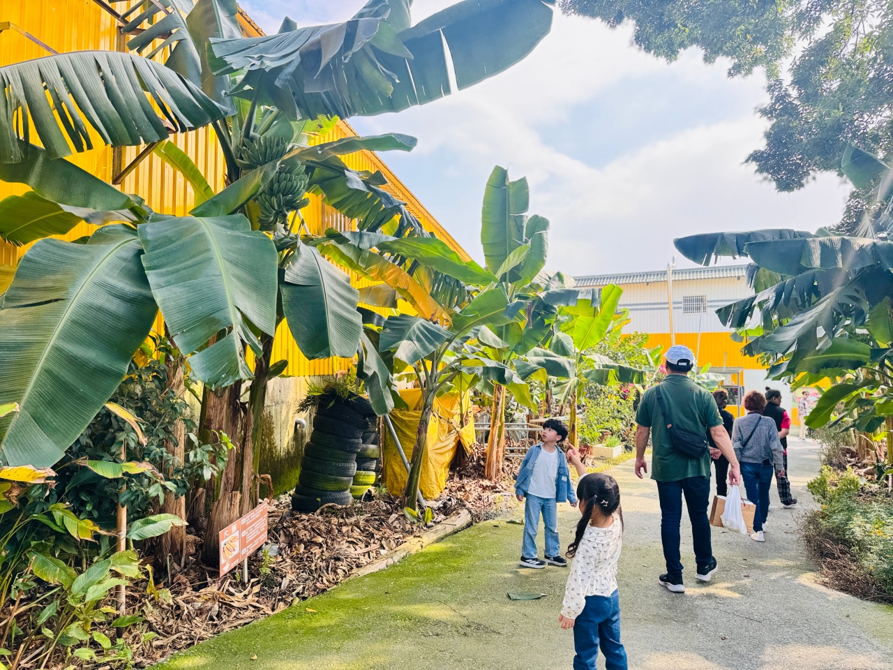 ★南投親子景點推薦★集元果觀光工廠，南投免費景點推薦！集集山蕉王國、球池沙坑、互動遊戲、必買伴手禮，一站滿足全家大小！