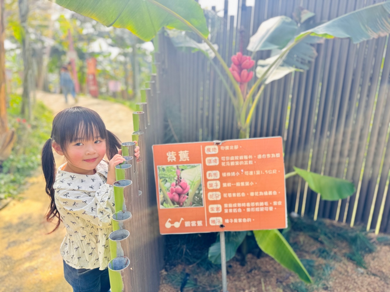 ★南投親子景點推薦★集元果觀光工廠，南投免費景點推薦！集集山蕉王國、球池沙坑、互動遊戲、必買伴手禮，一站滿足全家大小！