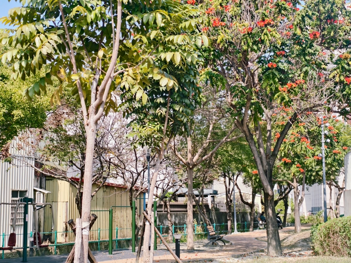 ★彰化親子景點★員林兔馬鹿公園9.6米高球型高塔超壯觀,消防車遊具、環狀滑索,大小朋友的全能放電場! - 第22張圖 ★彰化親子景點★員林兔馬鹿公園9.6米高球型高塔超壯觀,消防車遊具、環狀滑索,大小朋友的全能放電場!