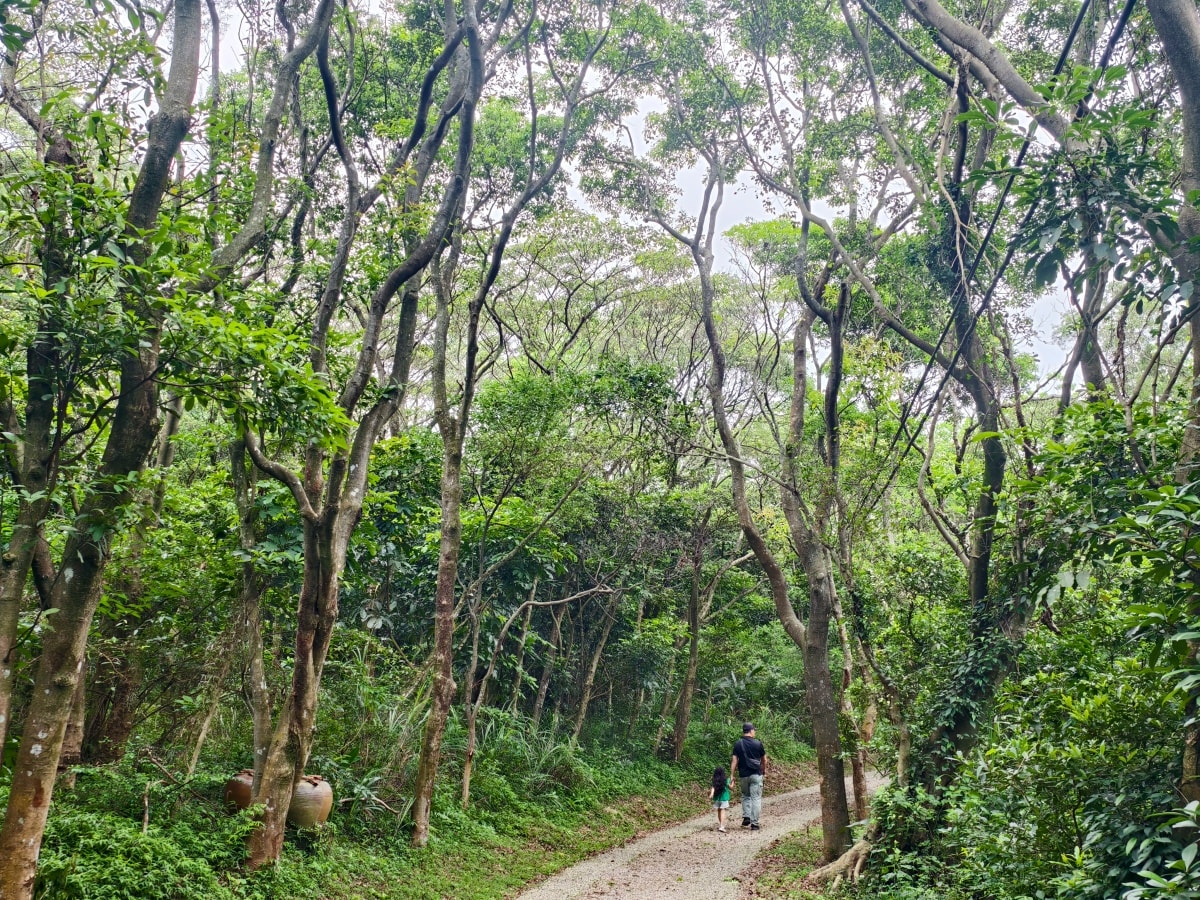 ★桃園親子景點★最新森林遊戲場『五酒桶山自然遊憩場』,適合親子的輕鬆步道和挑戰設施,看蝴蝶、野餐、大草皮超放電,下山再吃烤雞喝咖啡,桃園最新一日遊行程! - 第7張圖 ★桃園親子景點★最新森林遊戲場『五酒桶山自然遊憩場』,適合親子的輕鬆步道和挑戰設施,看蝴蝶、野餐、大草皮超放電,下山再吃烤雞喝咖啡,桃園最新一日遊行程!