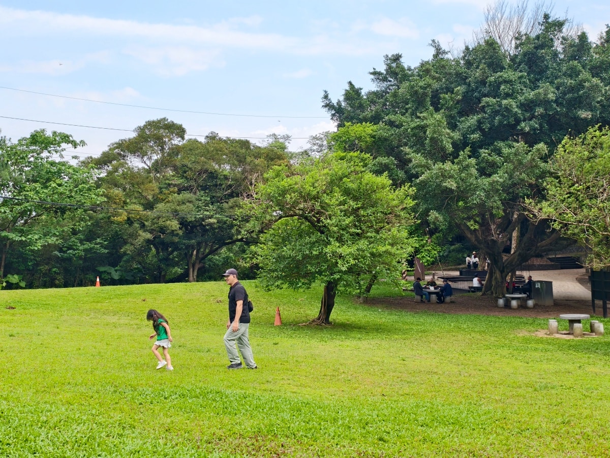 ★桃園親子景點★最新森林遊戲場『五酒桶山自然遊憩場』,適合親子的輕鬆步道和挑戰設施,看蝴蝶、野餐、大草皮超放電,下山再吃烤雞喝咖啡,桃園最新一日遊行程! - 第23張圖 ★桃園親子景點★最新森林遊戲場『五酒桶山自然遊憩場』,適合親子的輕鬆步道和挑戰設施,看蝴蝶、野餐、大草皮超放電,下山再吃烤雞喝咖啡,桃園最新一日遊行程!