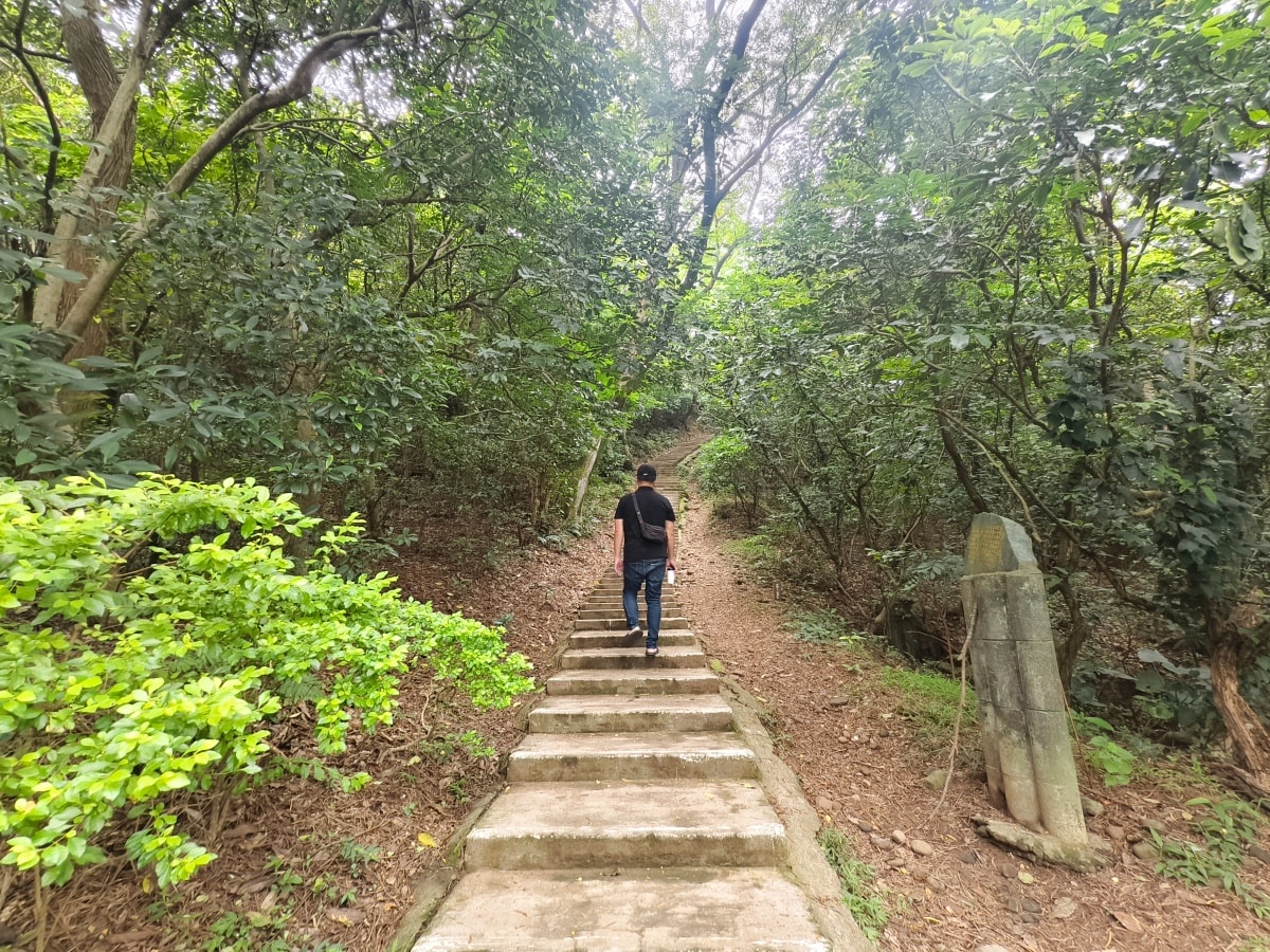 ★桃園親子景點★最新森林遊戲場『五酒桶山自然遊憩場』，適合親子的輕鬆步道和挑戰設施，看蝴蝶、野餐、大草皮超放電，下山再吃烤雞喝咖啡，桃園最新一日遊行程！