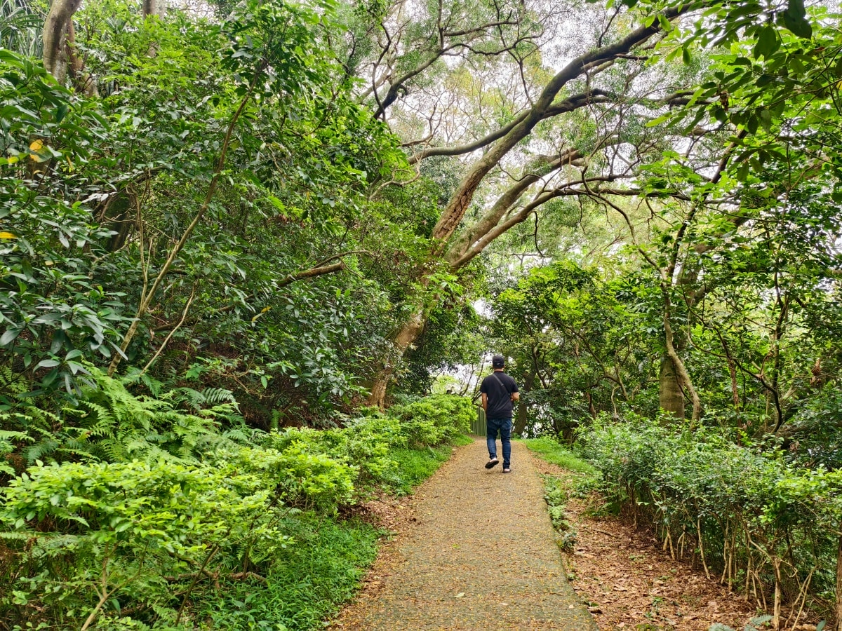 ★桃園親子景點★最新森林遊戲場『五酒桶山自然遊憩場』，適合親子的輕鬆步道和挑戰設施，看蝴蝶、野餐、大草皮超放電，下山再吃烤雞喝咖啡，桃園最新一日遊行程！