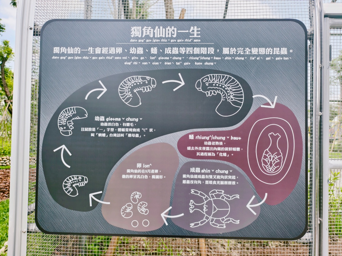 ★台中最新親子景點★東勢獨角仙生態公園，全台首創獨角仙撫育基地，4.8米羽化之塔超刺激、35種遊戲體驗、夏日戲水區，放電兼科普教育、順遊客家文化園區，免門票親子新亮點！！