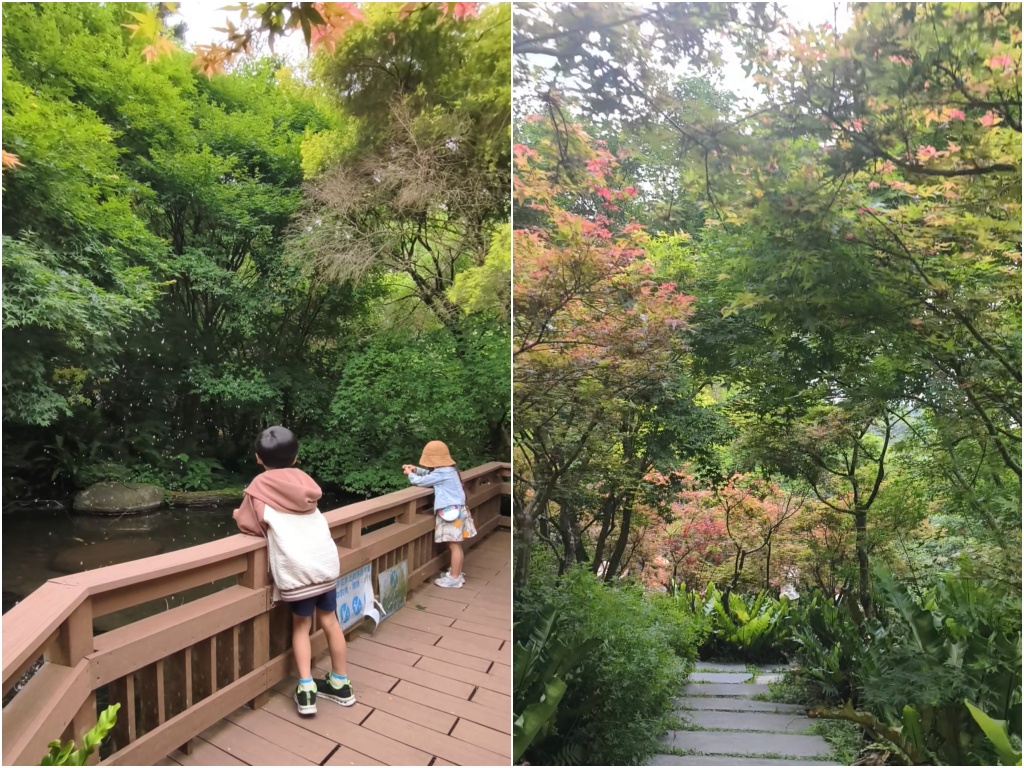 ★台北親子景點推薦★「福田園休閒農場」隱身陽明山的森林野溪秘境!清澈冰涼野溪超放電,絕美楓紅景色、夢幻玻璃屋、手作藍染DIY,融入大森林的輕鬆育兒一日遊(含2026最新預約新制、套票攻略) - 第11張圖 ★台北親子景點推薦★「福田園休閒農場」隱身陽明山的森林野溪秘境!清澈冰涼野溪超放電,絕美楓紅景色、夢幻玻璃屋、手作藍染DIY,融入大森林的輕鬆育兒一日遊(含2026最新預約新制、套票攻略)