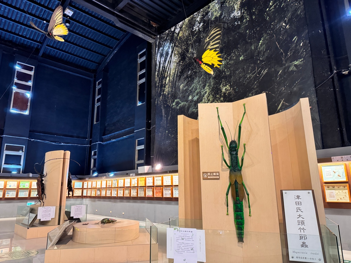 ★嘉義親子景點推薦★『嘉大昆蟲館』全台最美球體溫室、巨型彩蝶柱超吸睛!搭配免費專人導覽、活體觸摸體驗,城市森林親子一日遊推薦! - 第5張圖 ★嘉義親子景點推薦★『嘉大昆蟲館』全台最美球體溫室、巨型彩蝶柱超吸睛!搭配免費專人導覽、活體觸摸體驗,城市森林親子一日遊推薦!