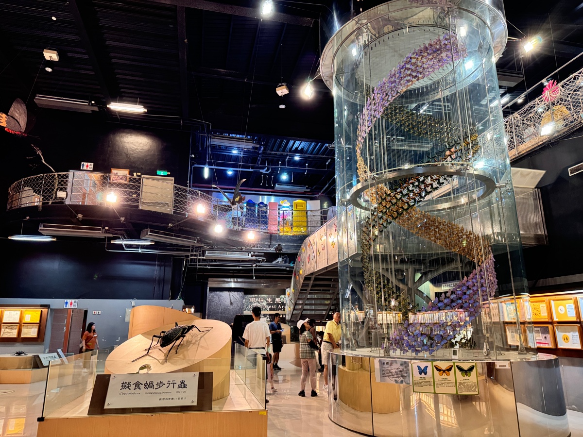 ★嘉義親子景點推薦★『嘉大昆蟲館』全台最美球體溫室、巨型彩蝶柱超吸睛!搭配免費專人導覽、活體觸摸體驗,城市森林親子一日遊推薦! - 第9張圖 ★嘉義親子景點推薦★『嘉大昆蟲館』全台最美球體溫室、巨型彩蝶柱超吸睛!搭配免費專人導覽、活體觸摸體驗,城市森林親子一日遊推薦!