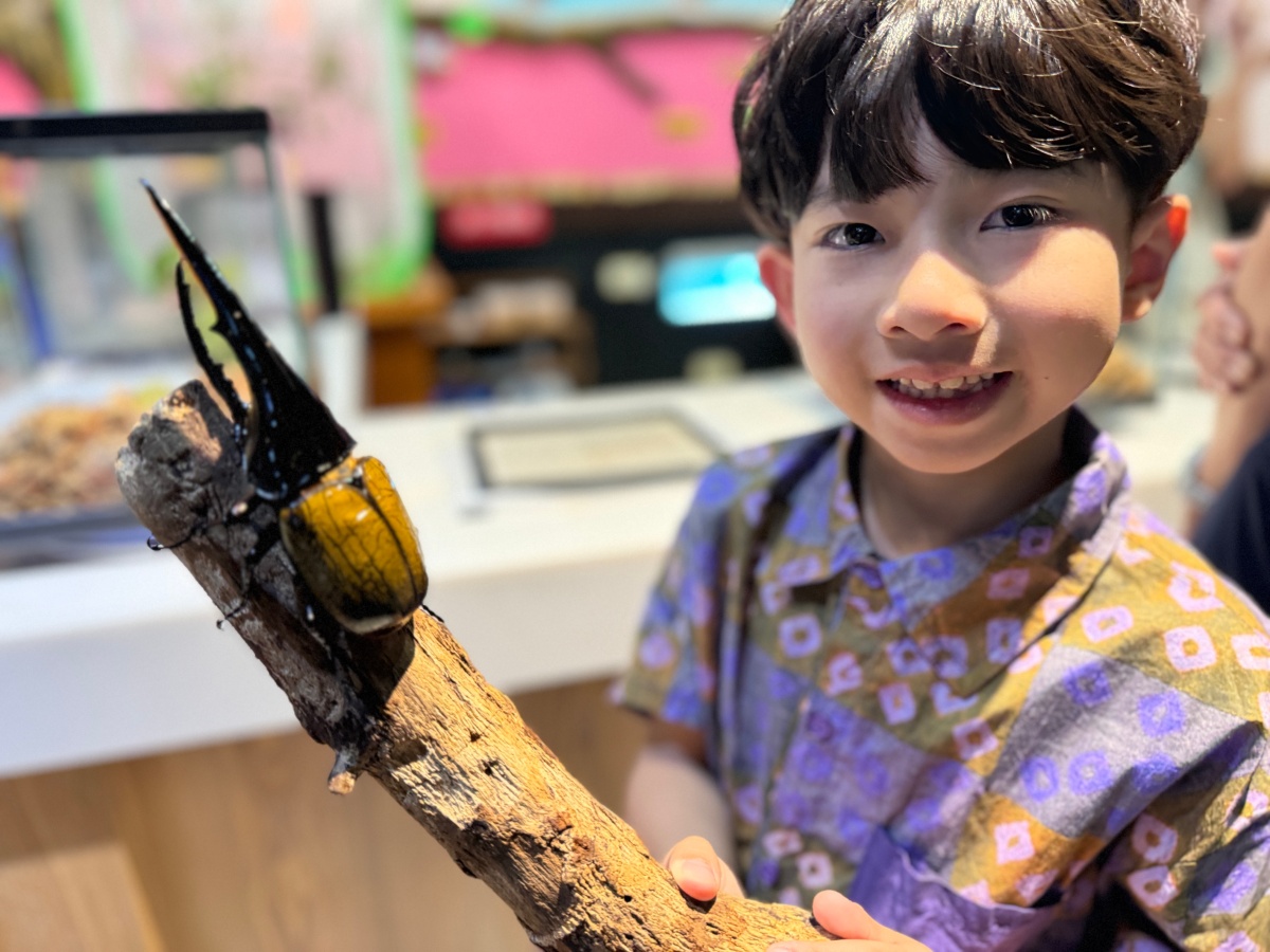 ★嘉義親子景點推薦★『嘉大昆蟲館』全台最美球體溫室、巨型彩蝶柱超吸睛!搭配免費專人導覽、活體觸摸體驗,城市森林親子一日遊推薦! - 第16張圖 ★嘉義親子景點推薦★『嘉大昆蟲館』全台最美球體溫室、巨型彩蝶柱超吸睛!搭配免費專人導覽、活體觸摸體驗,城市森林親子一日遊推薦!