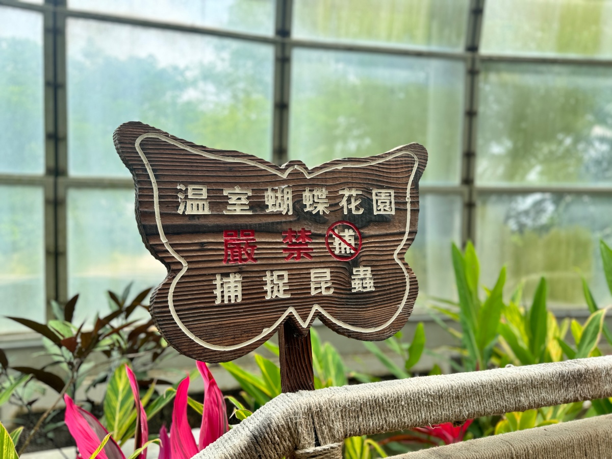 ★嘉義親子景點推薦★『嘉大昆蟲館』全台最美球體溫室、巨型彩蝶柱超吸睛!搭配免費專人導覽、活體觸摸體驗,城市森林親子一日遊推薦! - 第24張圖 ★嘉義親子景點推薦★『嘉大昆蟲館』全台最美球體溫室、巨型彩蝶柱超吸睛!搭配免費專人導覽、活體觸摸體驗,城市森林親子一日遊推薦!