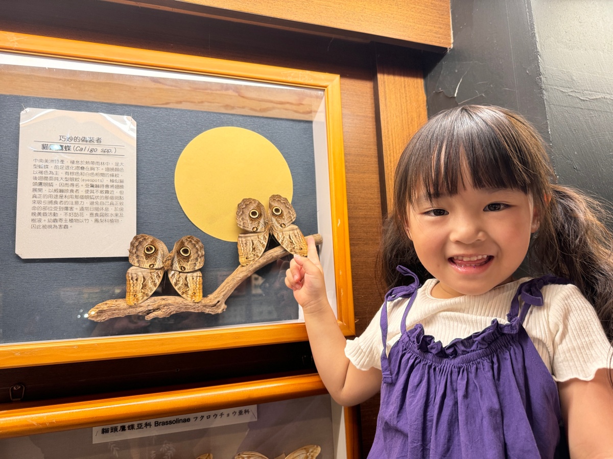★嘉義親子景點推薦★『嘉大昆蟲館』全台最美球體溫室、巨型彩蝶柱超吸睛!搭配免費專人導覽、活體觸摸體驗,城市森林親子一日遊推薦! - 第28張圖 ★嘉義親子景點推薦★『嘉大昆蟲館』全台最美球體溫室、巨型彩蝶柱超吸睛!搭配免費專人導覽、活體觸摸體驗,城市森林親子一日遊推薦!