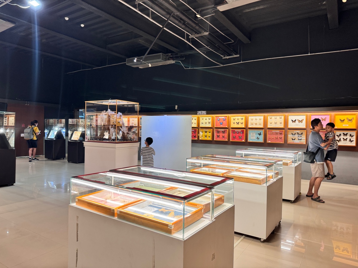 ★嘉義親子景點推薦★『嘉大昆蟲館』全台最美球體溫室、巨型彩蝶柱超吸睛!搭配免費專人導覽、活體觸摸體驗,城市森林親子一日遊推薦! - 第29張圖 ★嘉義親子景點推薦★『嘉大昆蟲館』全台最美球體溫室、巨型彩蝶柱超吸睛!搭配免費專人導覽、活體觸摸體驗,城市森林親子一日遊推薦!