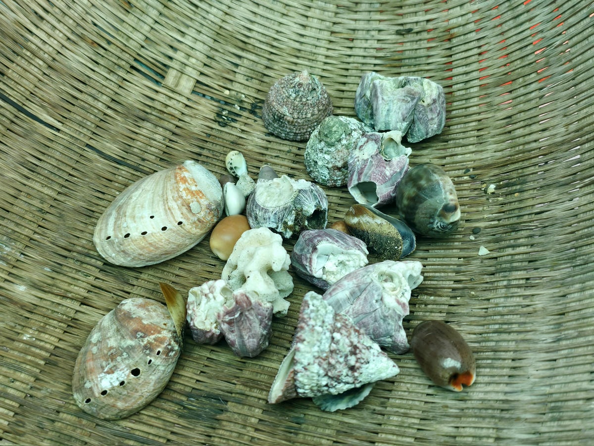 ★新北親子景點推薦★貢寮馬崗潮間帶,全台唯一台版濟州島海女體 ★新北親子景點推薦★貢寮馬崗潮間帶,全台唯一台版濟州島海女體