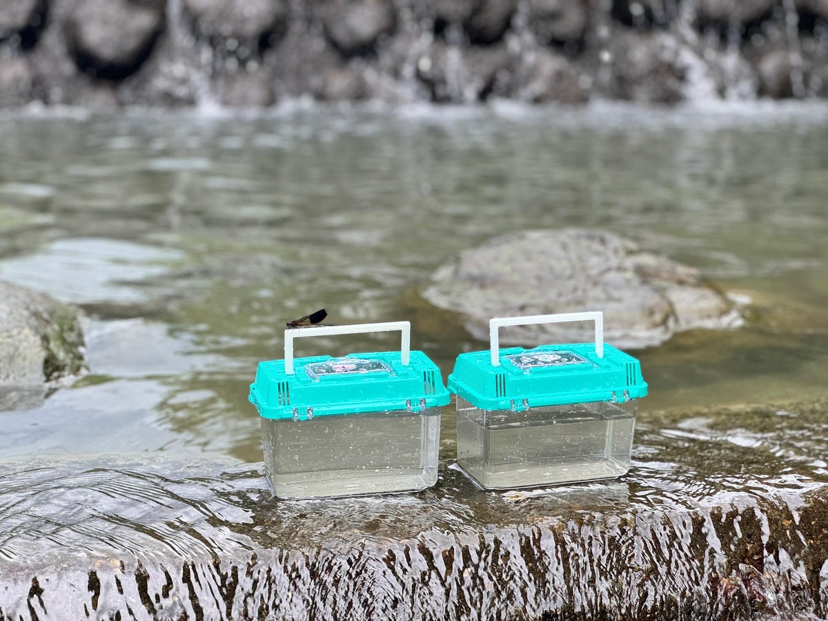 ★桃園親子景點推薦★『千層瀑布』夏日消暑秘境,免上山就能抵達 ★桃園親子景點推薦★『千層瀑布』夏日消暑秘境,免上山就能抵達