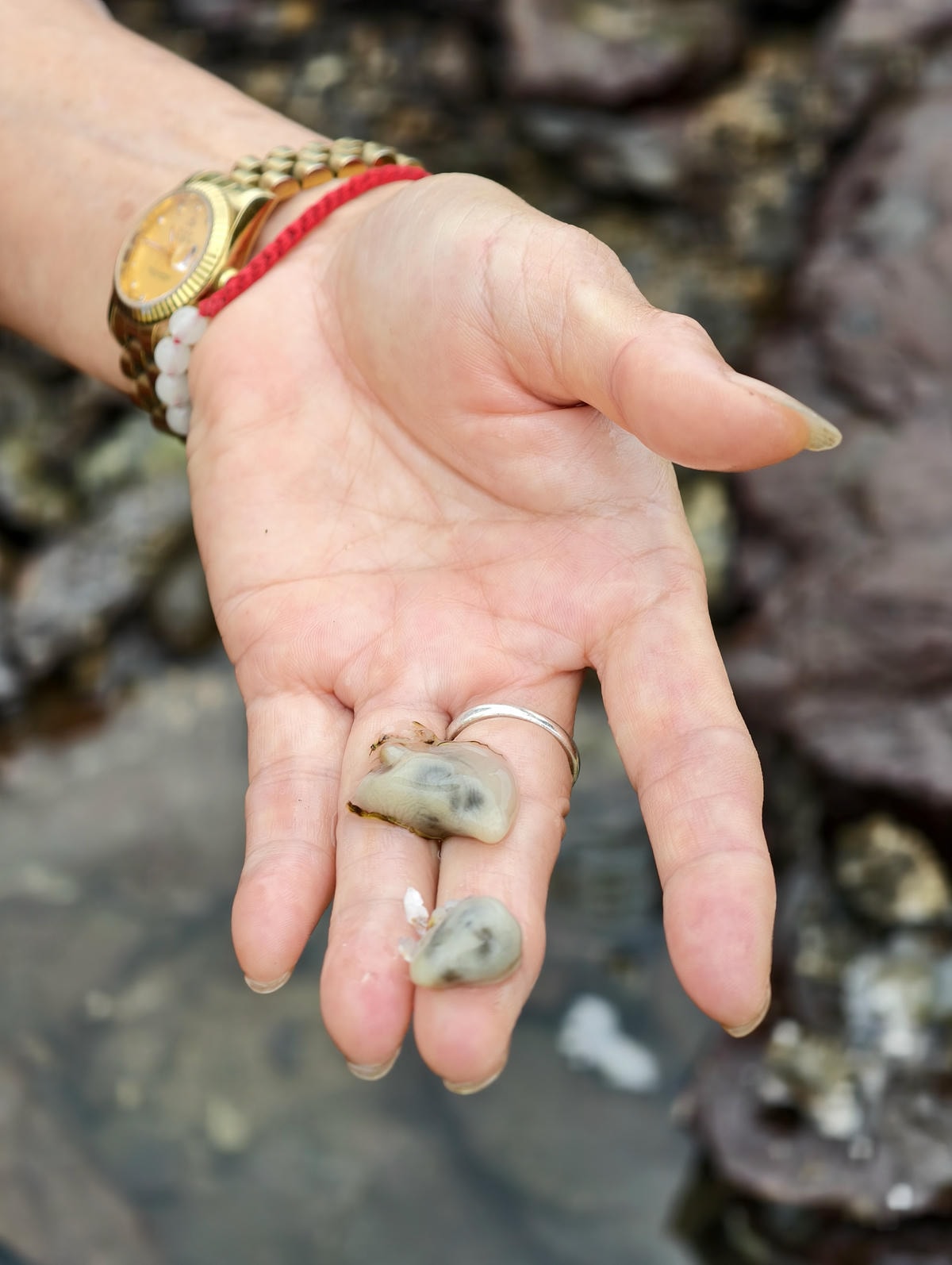 ★新北親子景點推薦★貢寮馬崗潮間帶,全台唯一台版濟州島海女體 ★新北親子景點推薦★貢寮馬崗潮間帶,全台唯一台版濟州島海女體