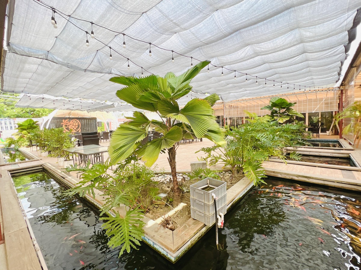 ★彰化●哈比雪兒親子餐廳*有大草皮遊戲區、小火車、餵魚區,不 ★彰化●哈比雪兒親子餐廳*有大草皮遊戲區、小火車、餵魚區,不