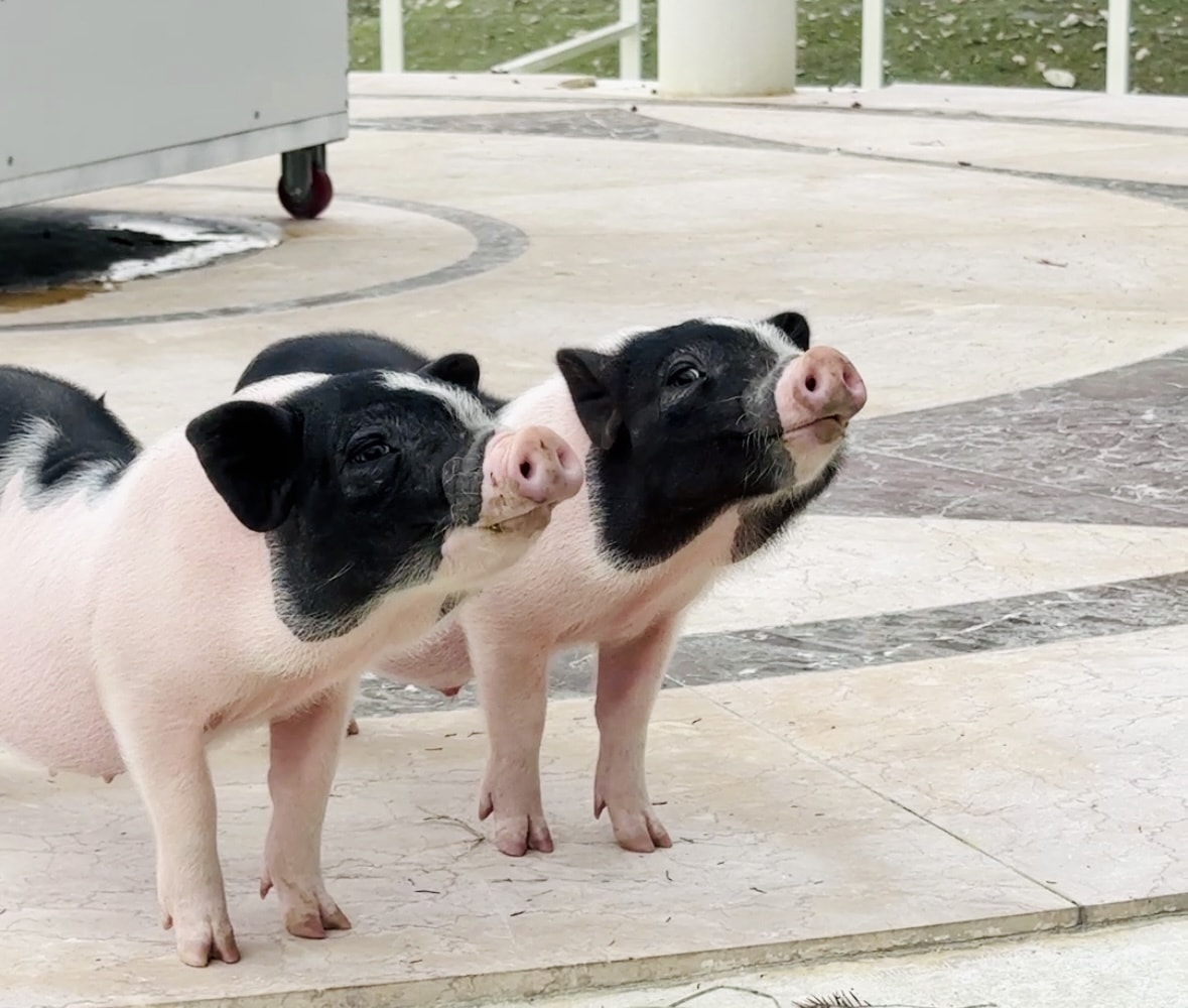 ★彰化親子景點推薦★『琉璃仙境』美照戲水放電一把抓