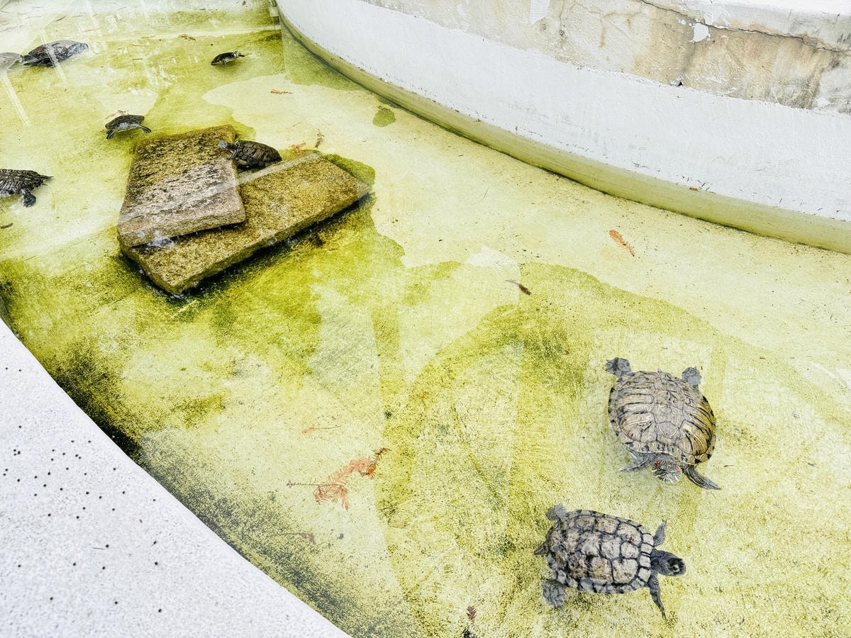 ★彰化親子景點推薦★『琉璃仙境』美照戲水放電一把抓